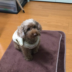 斉藤陸