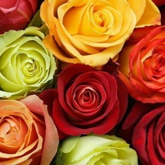 Юлия Колесник