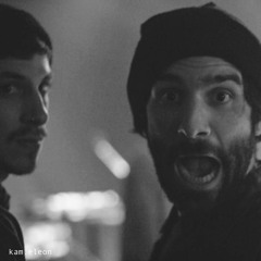 We live in the woods