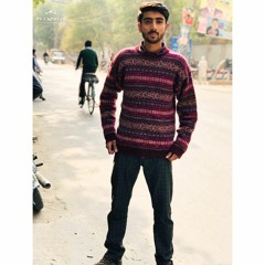 Hamza Shakil