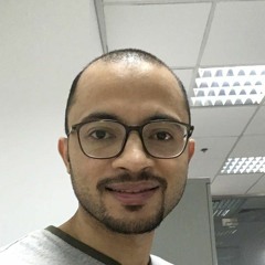 Abdelhalim Elnagar