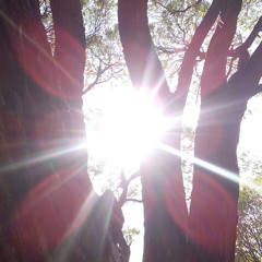 Памела Степиня