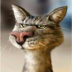 Mashup Các Bài Hát Làm Mưa Làm Gió Trong Nửa Năm 2019