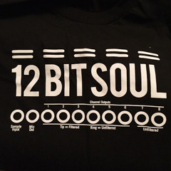 12 Bit Soul