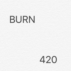 BURN 420