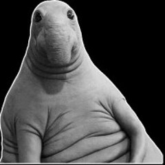 MR.MOLSA