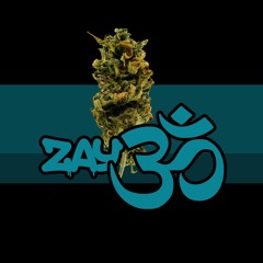 zayOHM