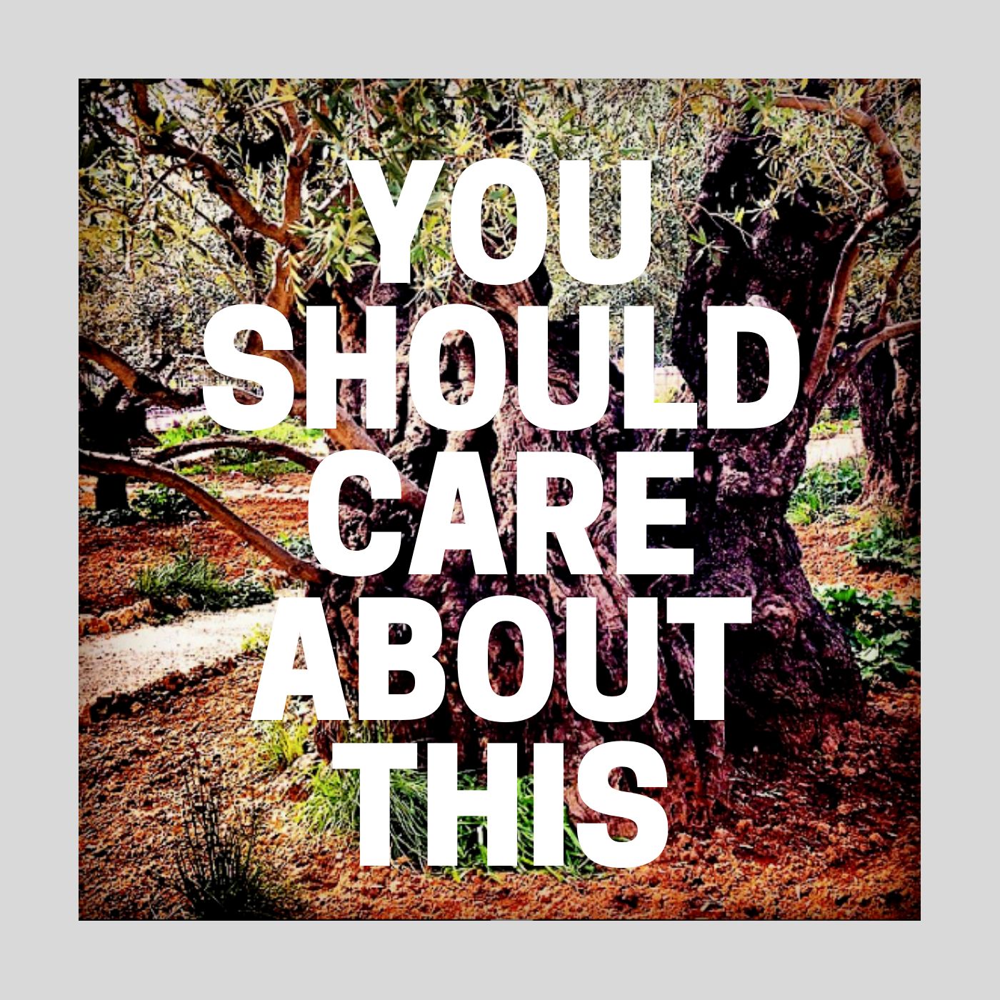 You Should Care About This podcast artwork