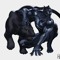 black panther