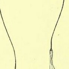 Ellis  Shelley