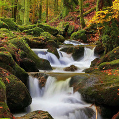 Made in my kitchen maryam