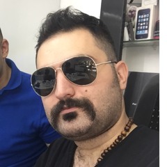 meisam ghaemi