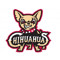 Thomas Chihuahua