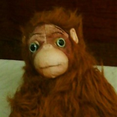 Hairy Chango 🐒