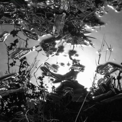 Banda Sonora (electrónica + ruidos)