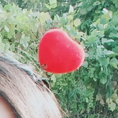 Lee칸나