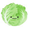 Solid_Salad