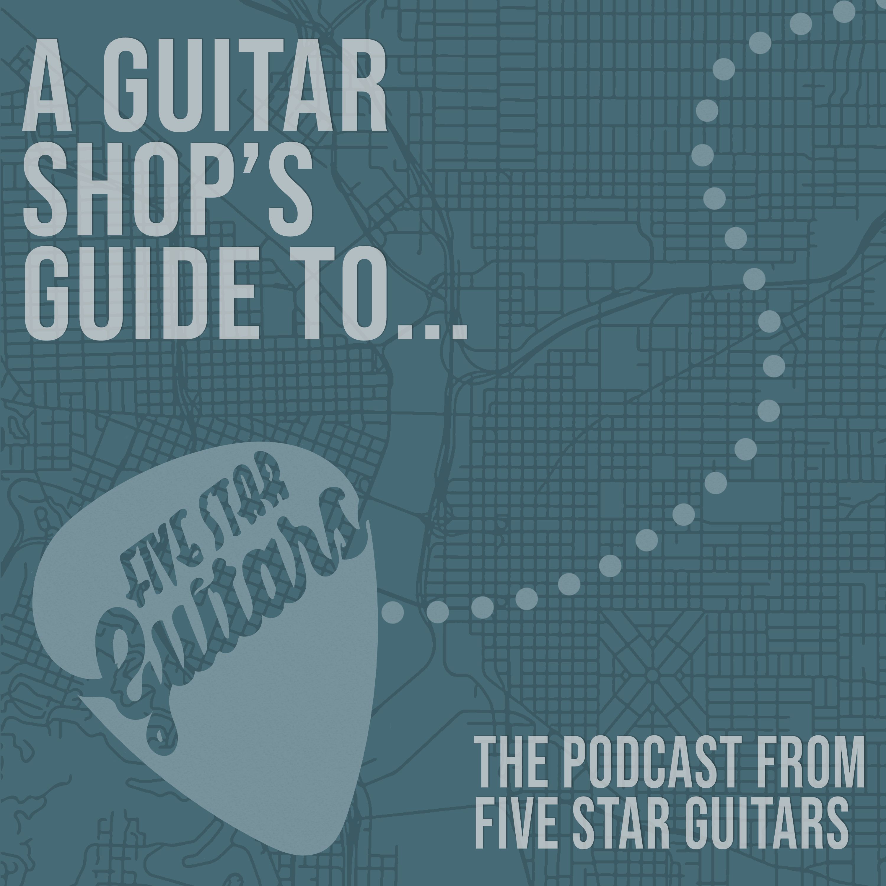 A Guitar Shop's Guide To...