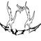 ☆Lsl_Guts☆