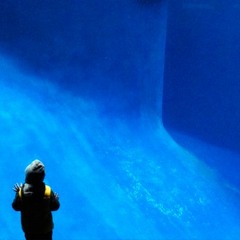 Marcus McLaughlin Music