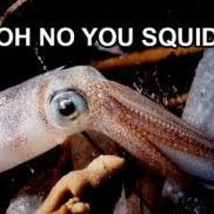 Squid R