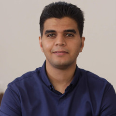 abdelhamed menesi