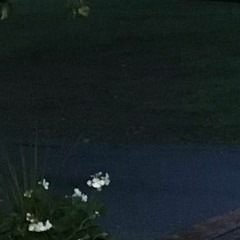 Matty Fucking Smokes