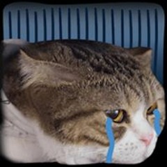 sàn