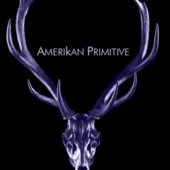 Amerikan Primitive