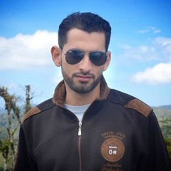 Mohamed Fouad Al-Nahhal