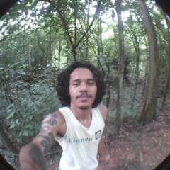 LSDi