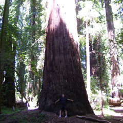 Heel Stone Sound Lab