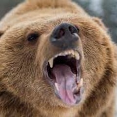 Brodabear