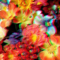ssaamm_