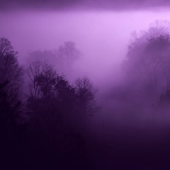 sainVM