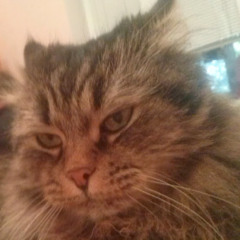 Сандра Горбатюк