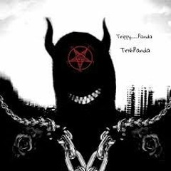 ＴＲＡＳＨ 新 ドラゴン