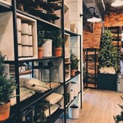 حميدية كشخه