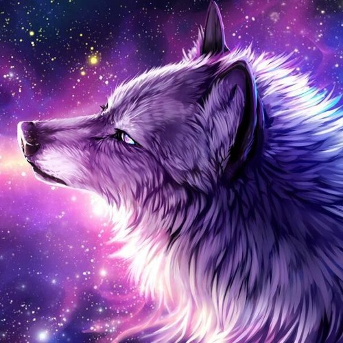 Featured image of post Galaxy Wolf Pictures