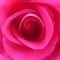 moaz