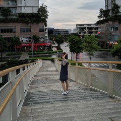 Trần Thu Trang