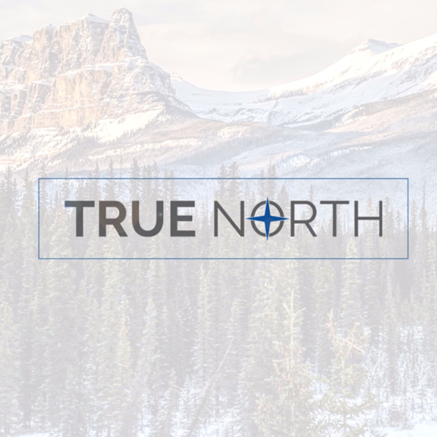 The True North Field Report