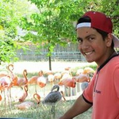 Henrique Pinto