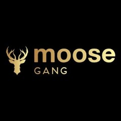 Moose