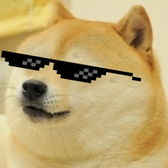 Doge Masta