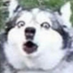 SKAY WAKER