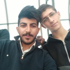 Hamed S. Hamdan