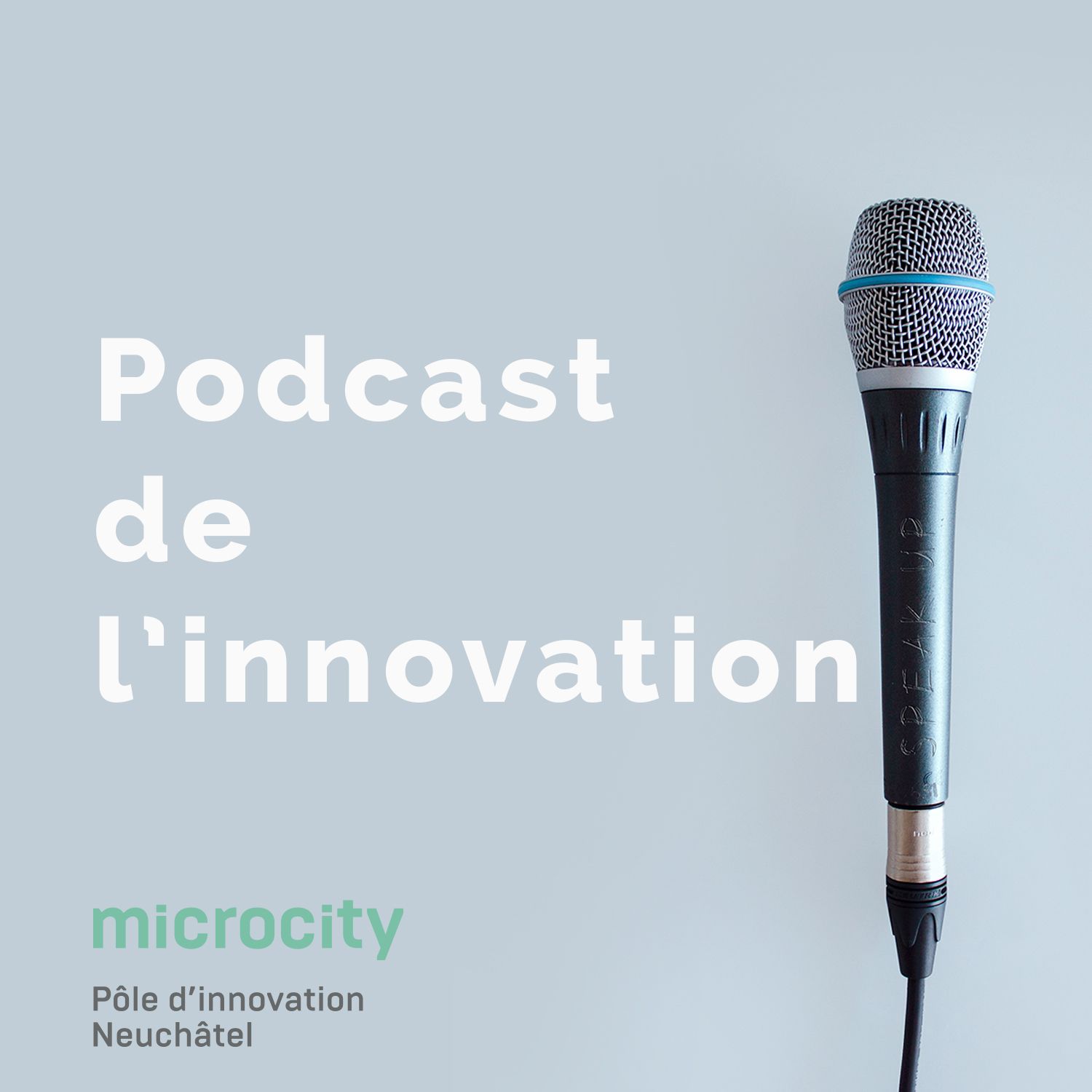 Microcity