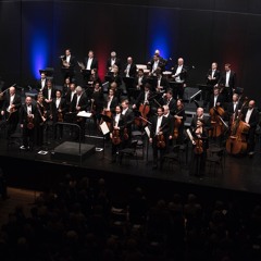 Sinfonieorchester Liechtenstein