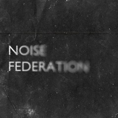 Noise Federation